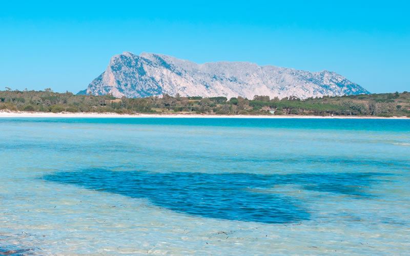 Tour N°2 – Isola di Tavolara e Molara Hotel Panorama
